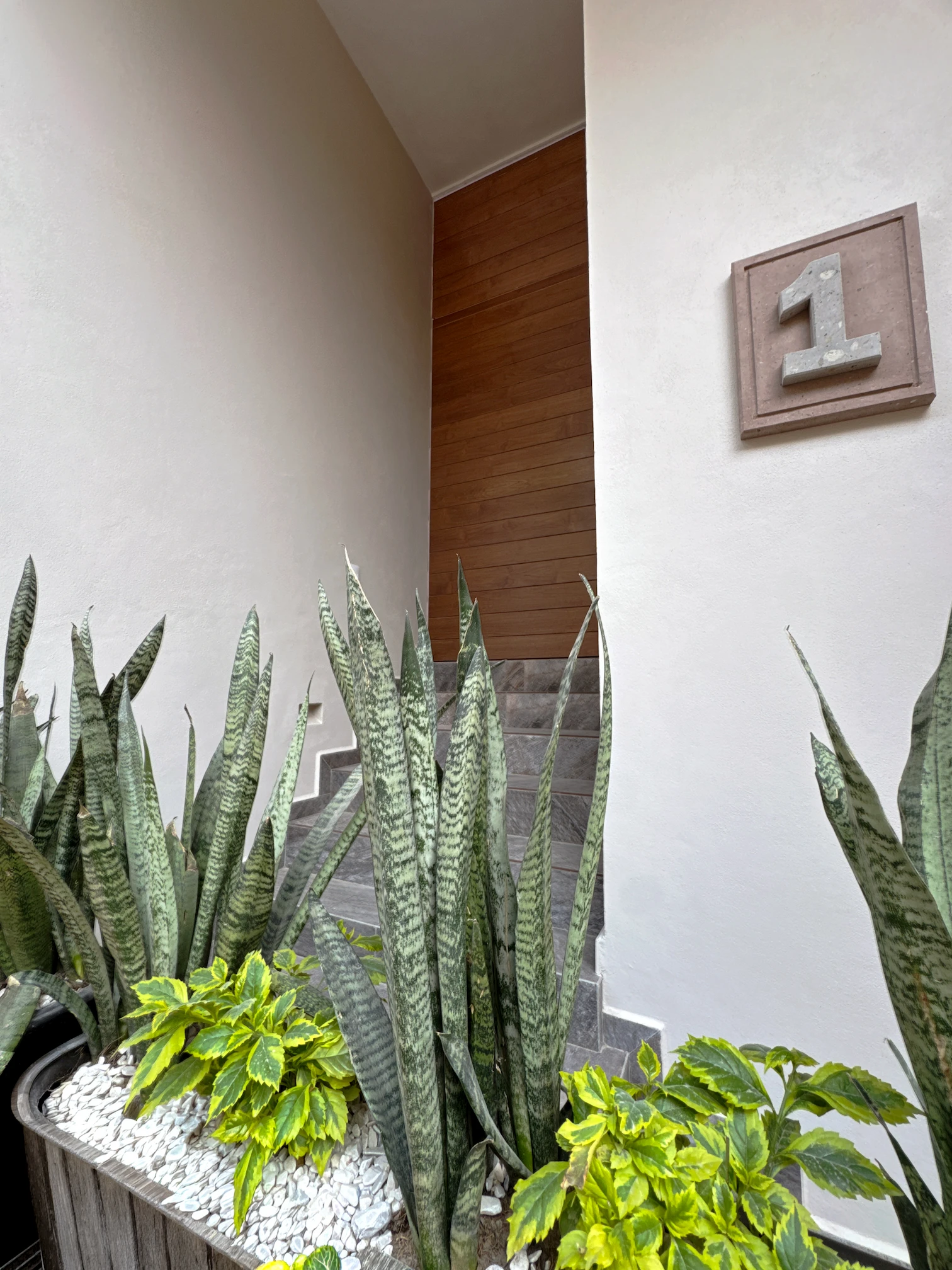 Entrada